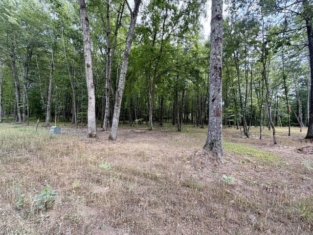 Land for sale in Wisconsin