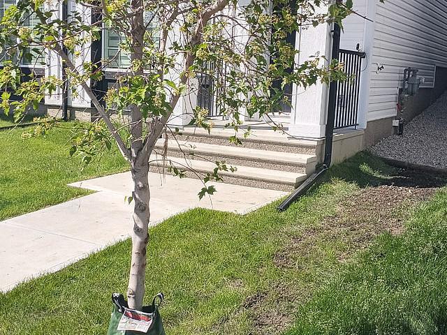 Duplex for rent in Northwest, Alberta
