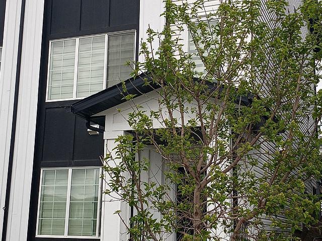 Duplex for rent in Northwest, Alberta