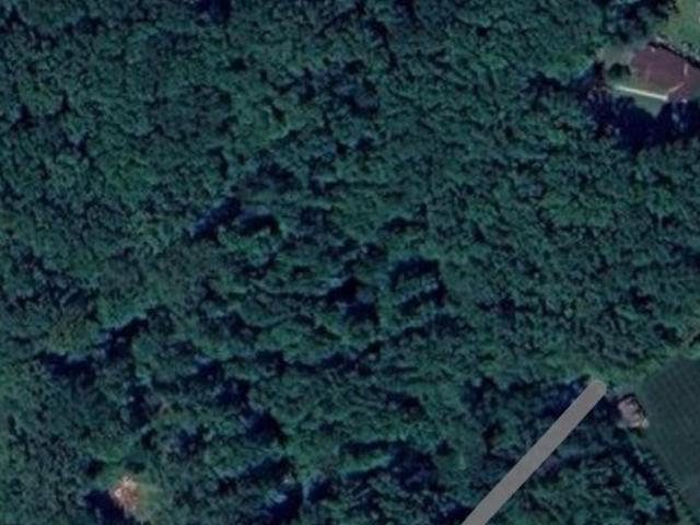 Land for sale in Baldwin