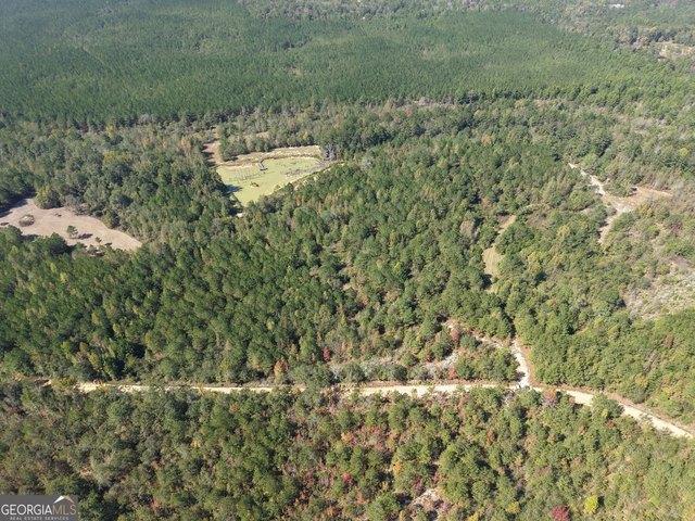Land for sale in Roberta, Crawford County