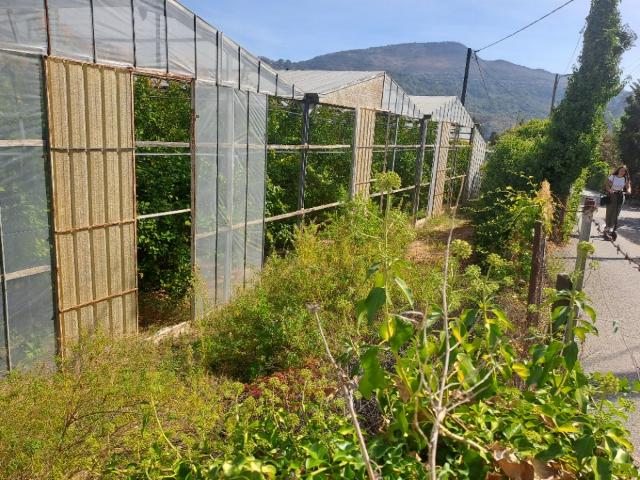 Terrain vente à Grasse, Carros