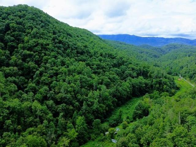 Land for sale in Tennessee