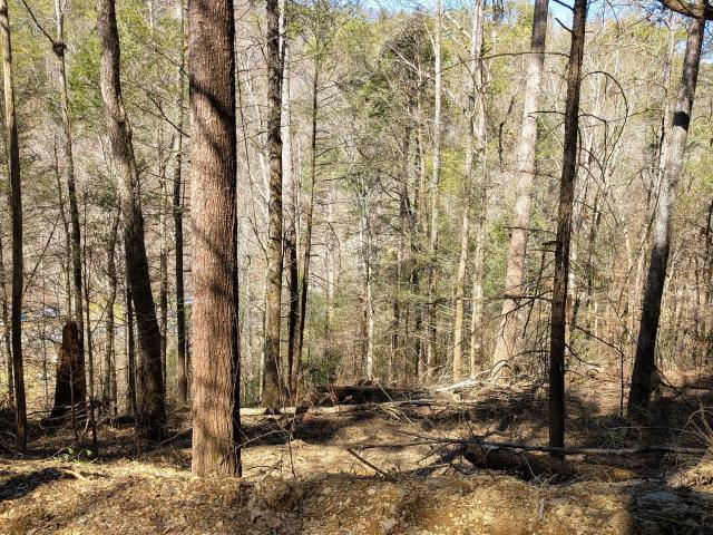 Land for sale in Tennessee