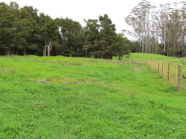 Property for sale in Northland