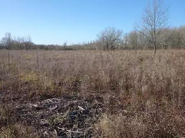 Terrain vente à France métropolitaine, Cars