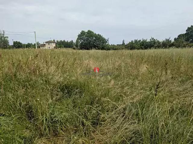 Terrain vente à France métropolitaine, Cars