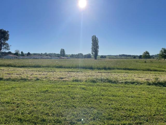 Terrain vente à France métropolitaine, Cars