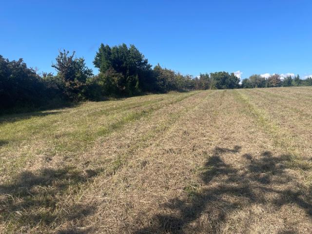 Terrain vente à Blaye, Cars