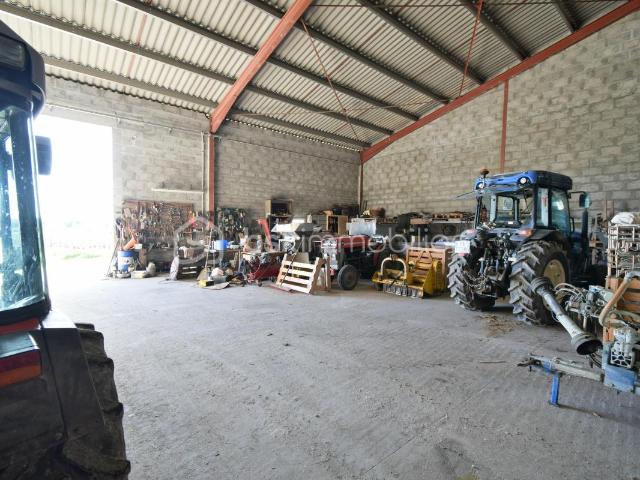 Terrain vente à France métropolitaine, Cars