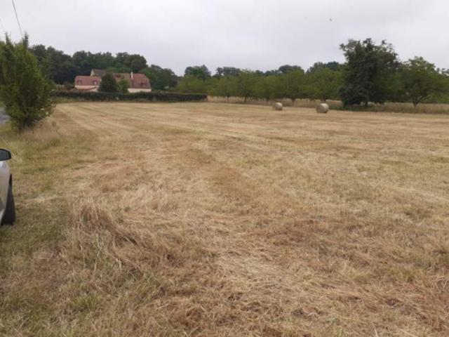 Terrain vente à Sarlat-la-Canéda, Carsac-aillac