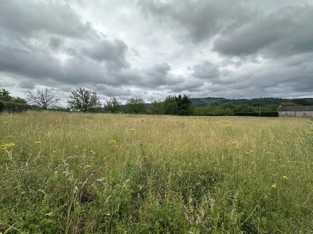 Terrain vente à Sarlat-la-Canéda, Carsac-aillac