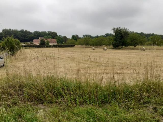 Terrain vente à Sarlat-la-Canéda, Carsac-aillac