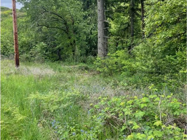 Land for sale in Carson, Washington