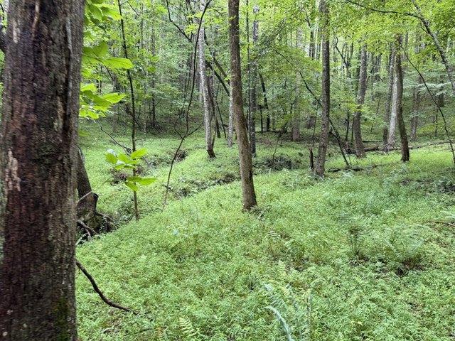 Land for sale in Virginia