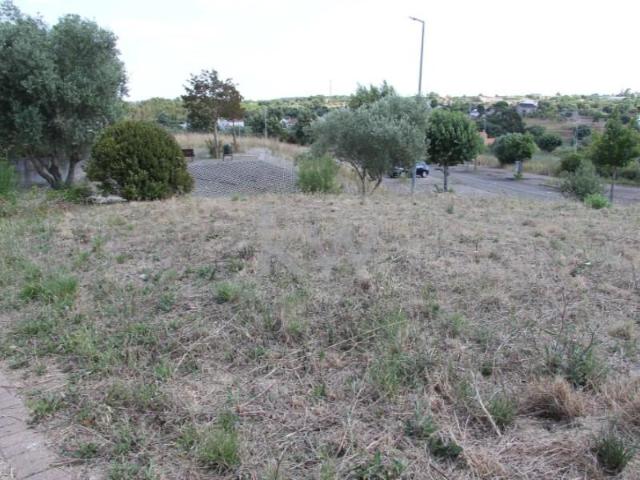 Terreno venda em Cartaxo, Santarém