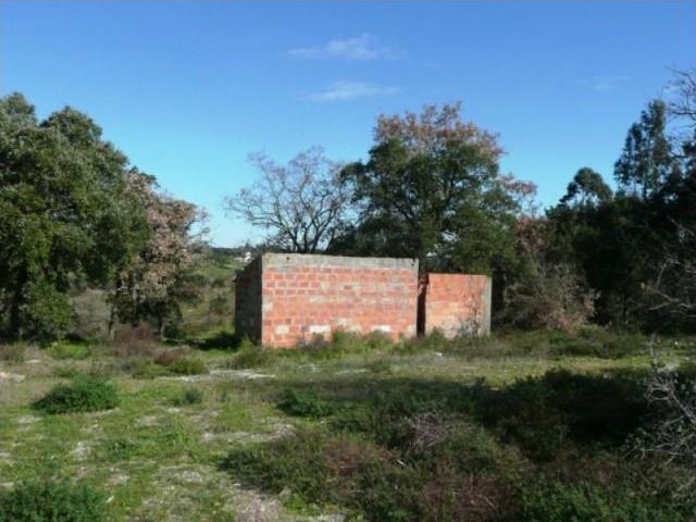 Terreno venda em Cartaxo e Vale da Pinta, Cartaxo