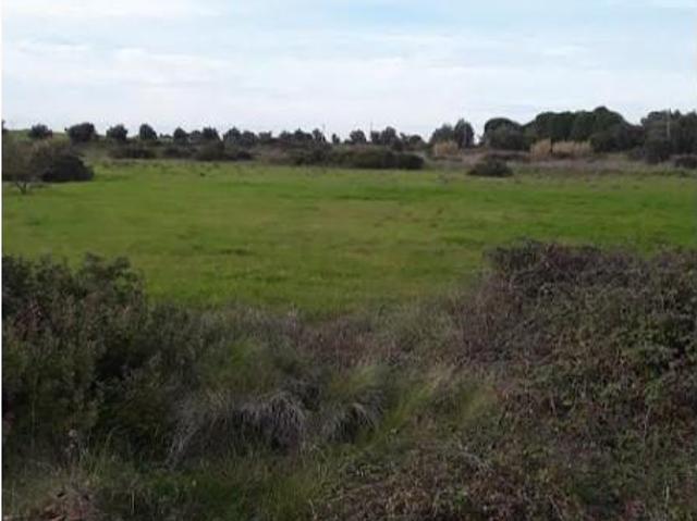 Terreno venda em Cartaxo e Vale da Pinta, Cartaxo