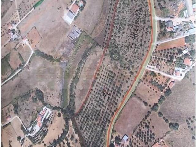Terreno venda em Cartaxo e Vale da Pinta, Cartaxo