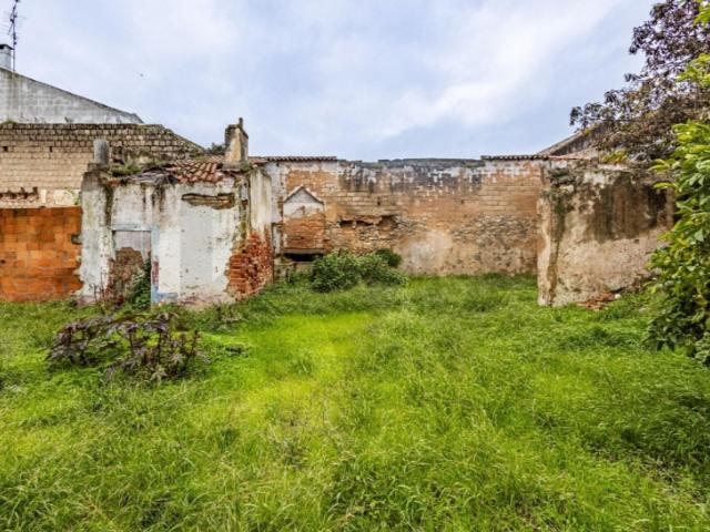 Terreno venda em Cartaxo e Vale da Pinta, Cartaxo