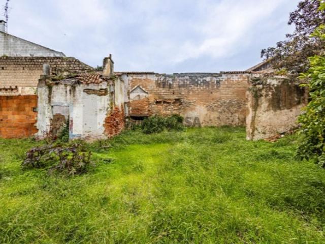 Terreno venda em Cartaxo e Vale da Pinta, Cartaxo