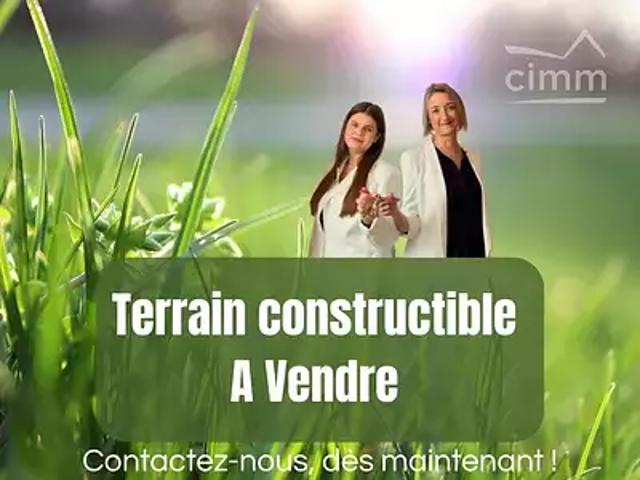 Terrain vente à Blaye, Cartelègue