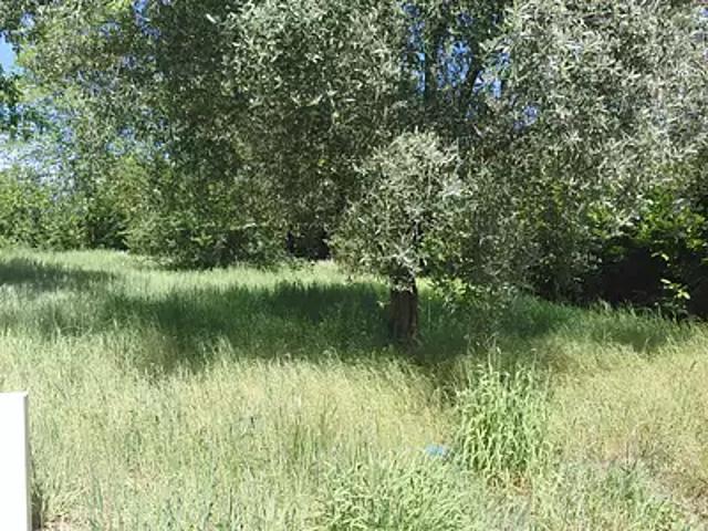 Terrain vente à Blaye, Cartelègue