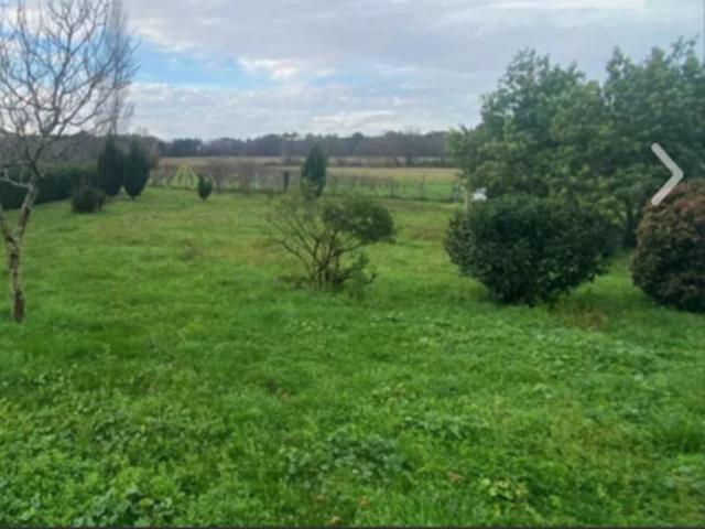 Terrain vente à Blaye, Cartelègue