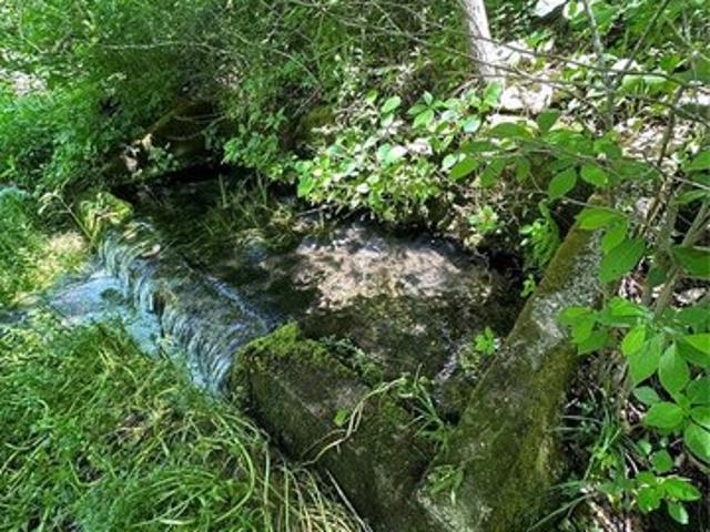 Farm for sale in Grandin, Missouri
