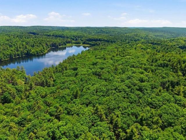 Land for sale in Petersham, Massachusetts