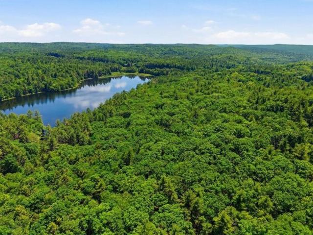 Land for sale in Nichewaug, Petersham
