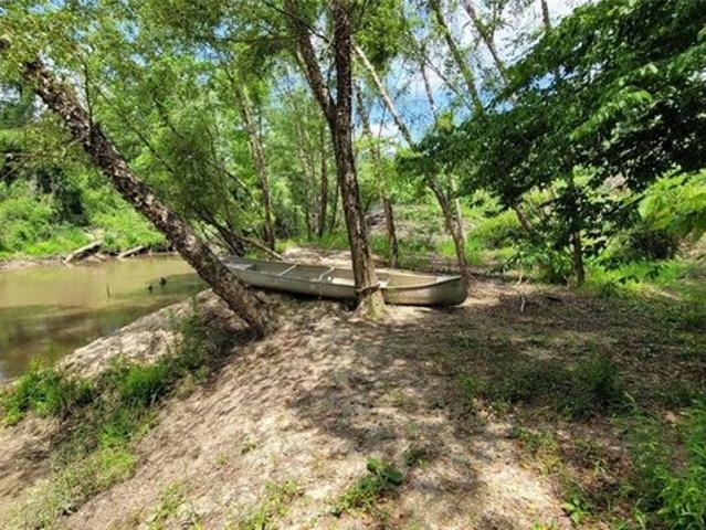 Land for sale in Independence, Louisiana