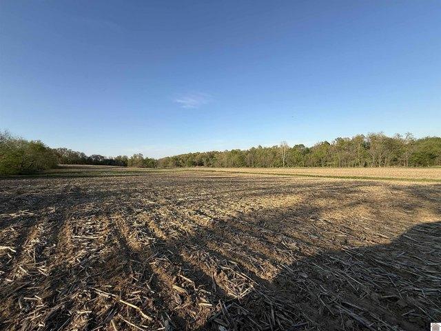 Land for sale in Mayfield, Kentucky