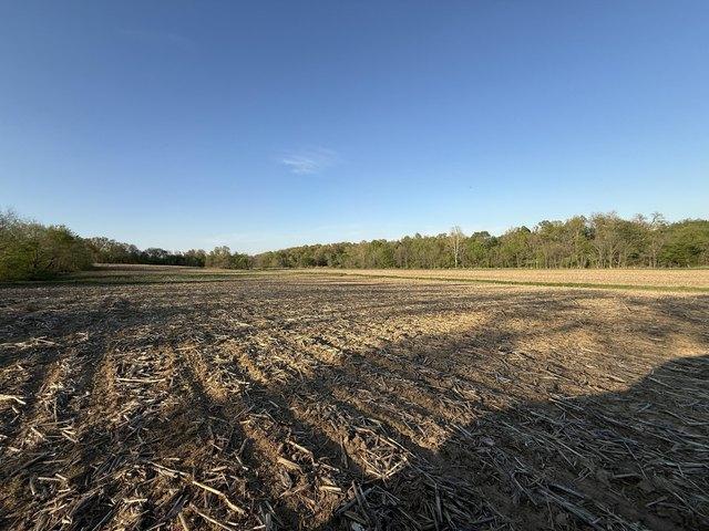 Land for sale in Mayfield, Kentucky