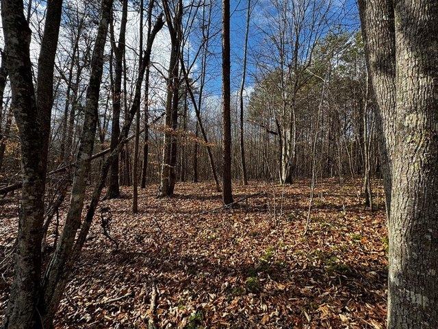 Land for sale in Virginia