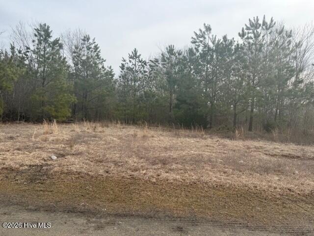 Land for sale in Woodland, North Carolina