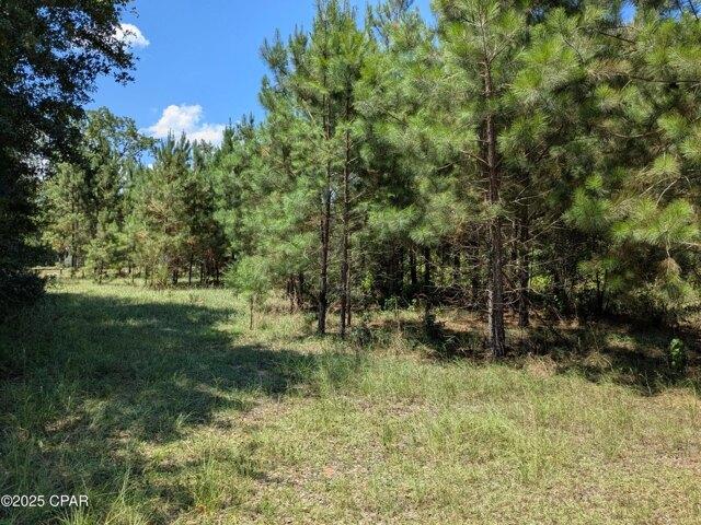 Land for sale in Marianna