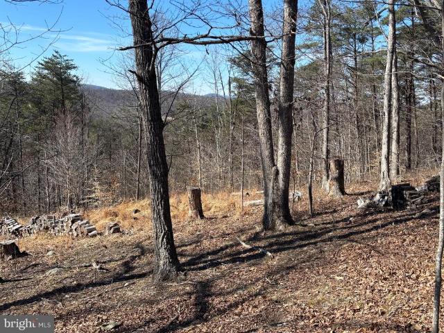 Land for sale in Virginia