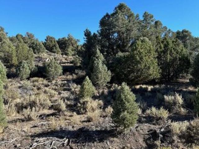 Land for sale in Reno Land for sale in Reno