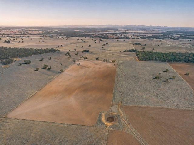 Cottage for sale in Purlewaugh, New South Wales