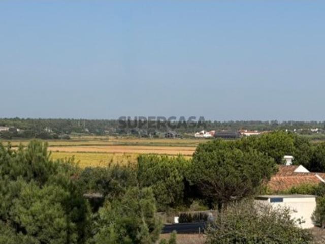 Terreno venda em Grândola, Setúbal