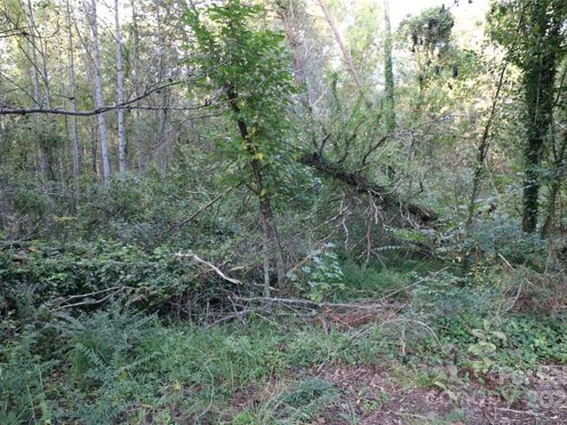 Land for sale in Rutherford, North Carolina