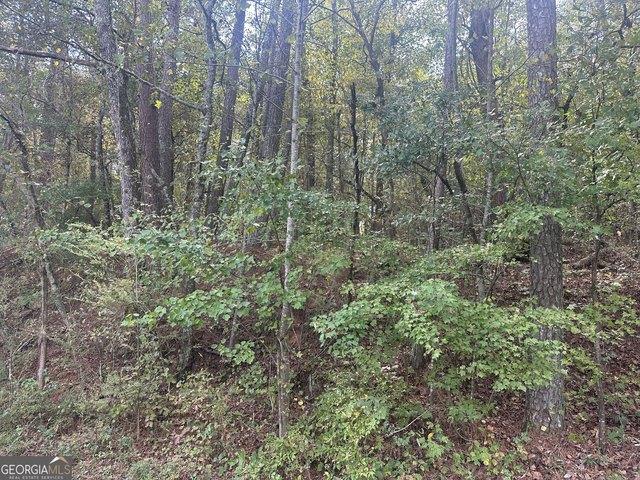 Land for sale in Talking Rock, Pickens County