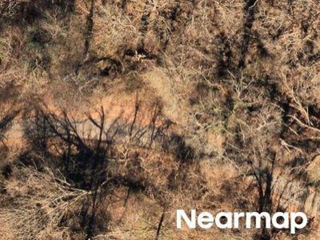 Land for sale in Arcadia, South Carolina
