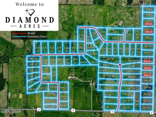 Land for sale in Diamond, Newton County