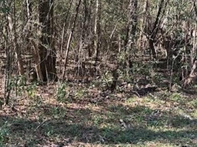 Land for sale in Mobile, Alabama