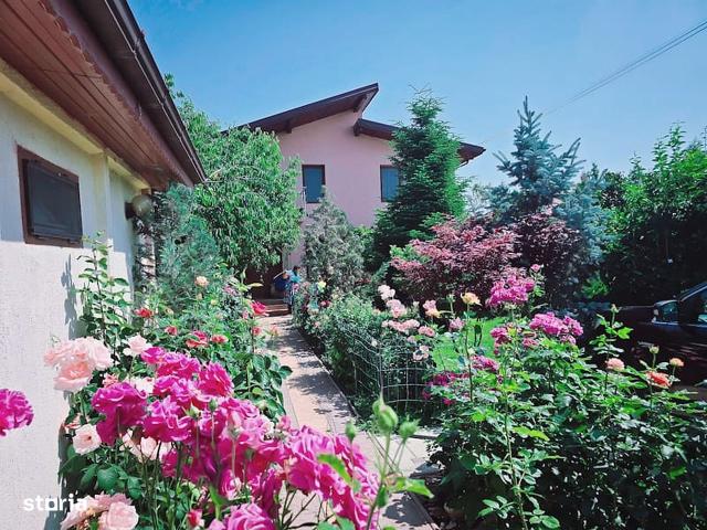 Casă vânzări în Pantelimon, Caraş-severin