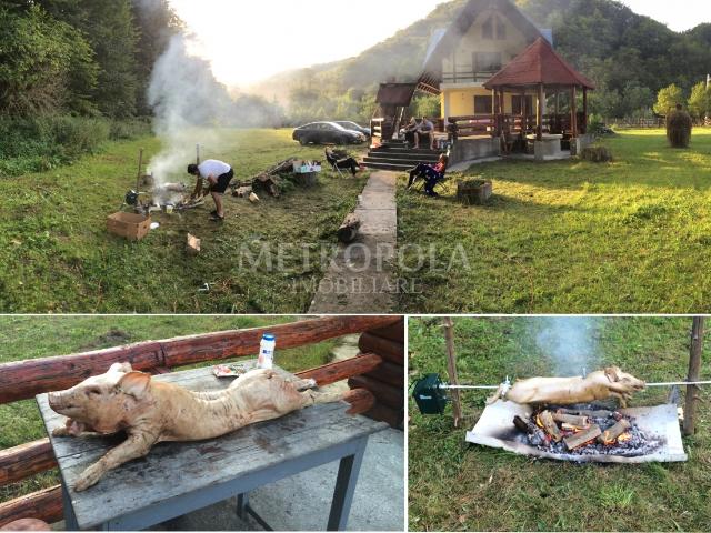 Casă închirieri în Chiceni