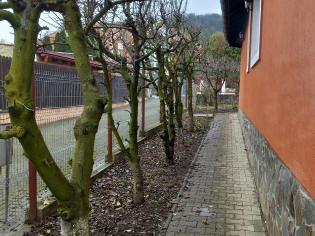 Casă vânzări