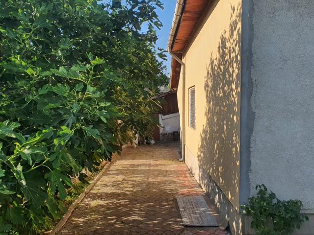 Casă vânzări în Schela Cladovei